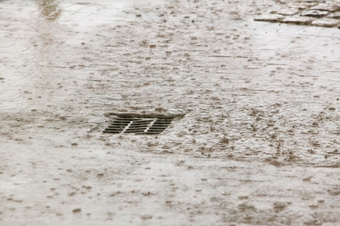 다뚜러김반장 PC 이미지 5673421